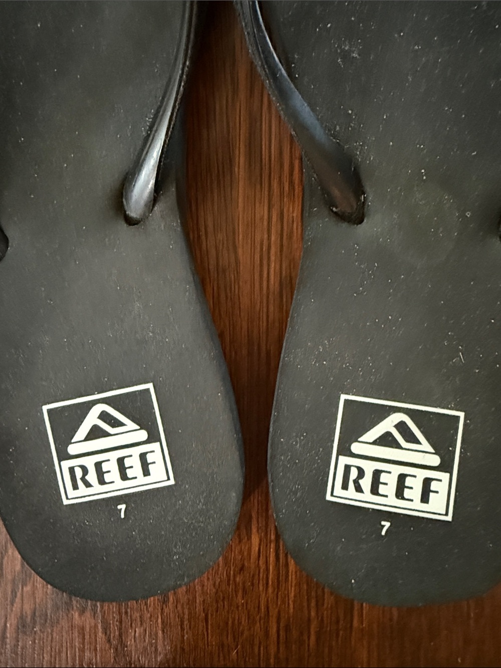 Like New Reef Stargazer